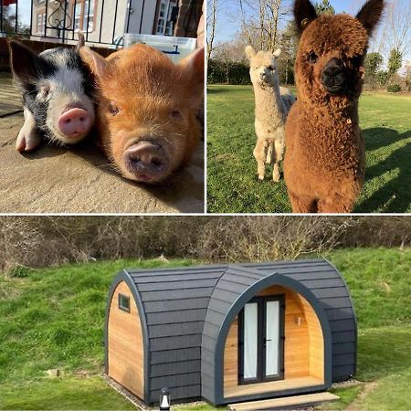 The Piggery Pod Hotel Sittingbourne Luaran gambar