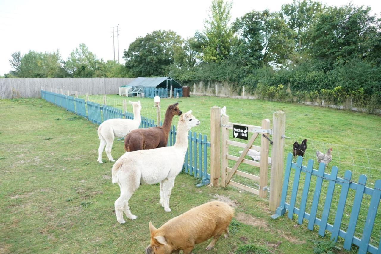 The Piggery Pod Hotel Sittingbourne Luaran gambar